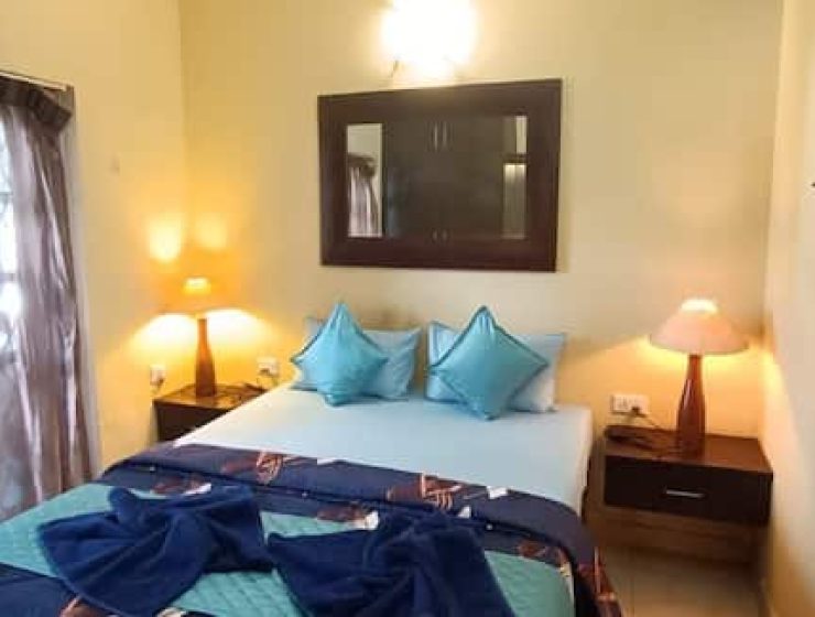 Lavish 1 Bedroom Apartment With Pool/Backup