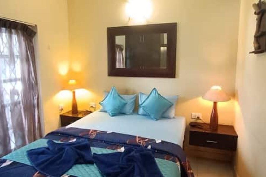 Lavish 1 Bedroom Apartment With Pool/Backup